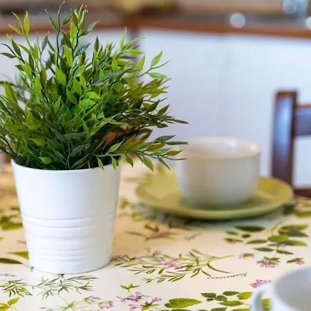 La Gabbiana Apartment *